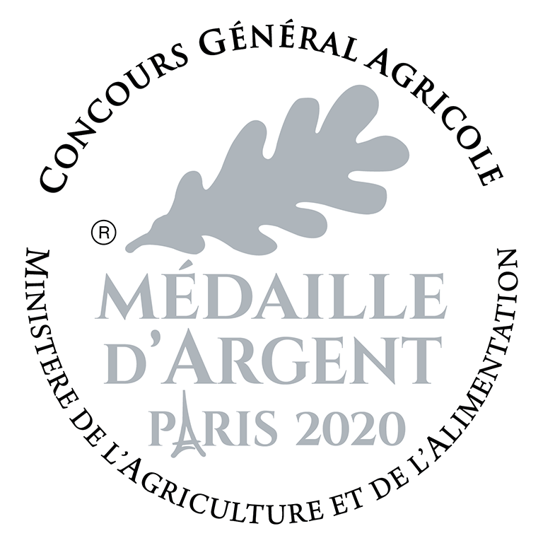 Medaille - Argent 2020 - Dragon Rouge - Bretagne - Bretagne Allerlei - bretonisch